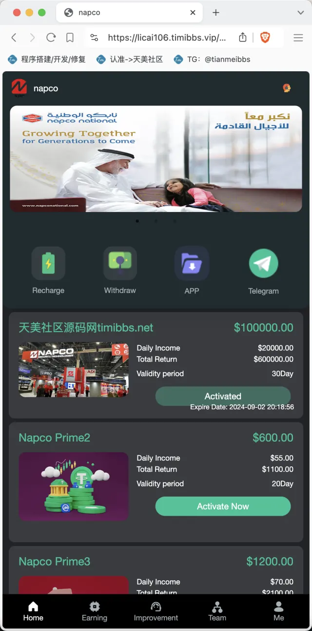 【亲测】Napco海外投资理财源码/前端html+后端PHP